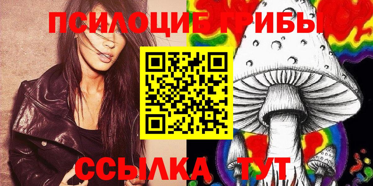 Камышлов  Псилоцибиновые грибы ЛСД  Вход с VPN 